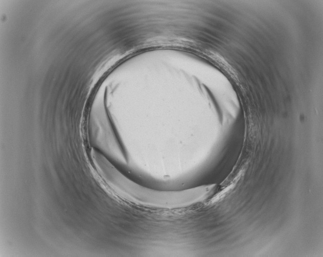 X0000061730893200512302143