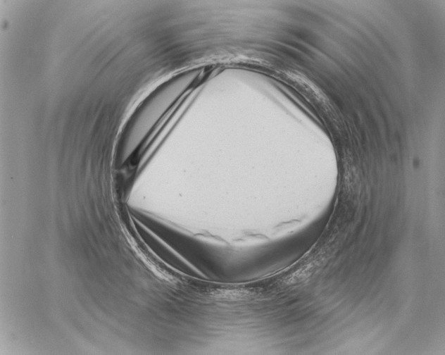 X0000061730894200512302143