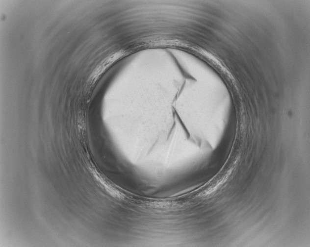 X0000061730897200512302142