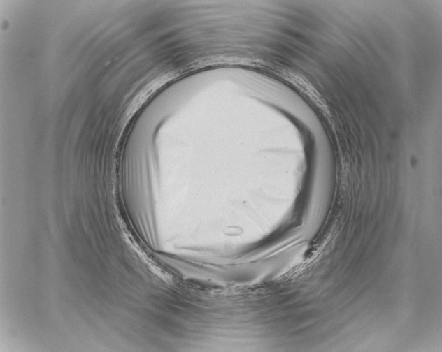 X0000061730898200512302142