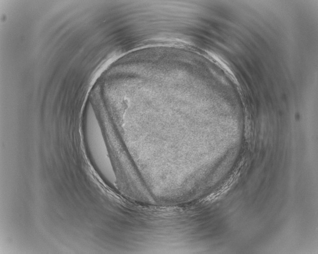 X0000061730899200512302142