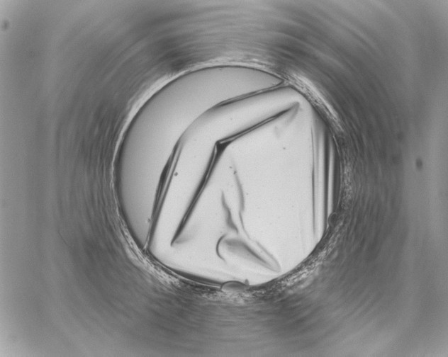 X0000061730900200512302142