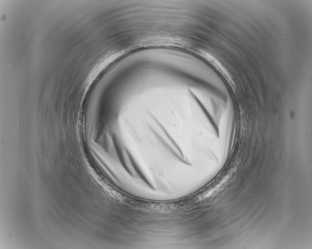 X0000061730901200512302142