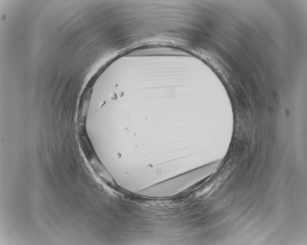 X0000061730902200512302142