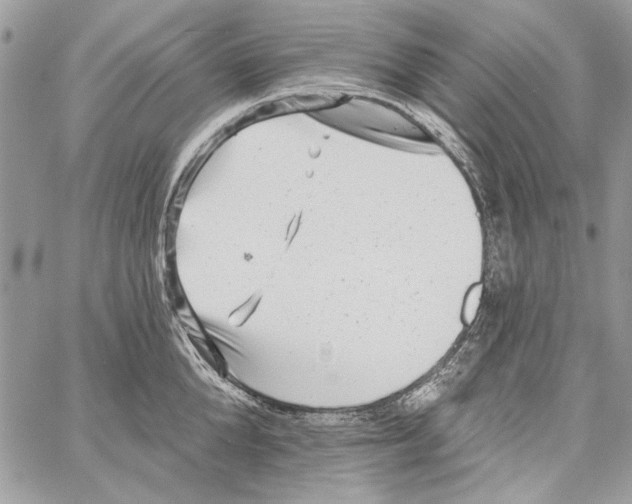 X0000061730904200512302142