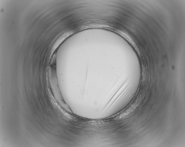 X0000061730906200512302142