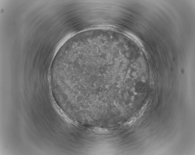 X0000061730907200512302142