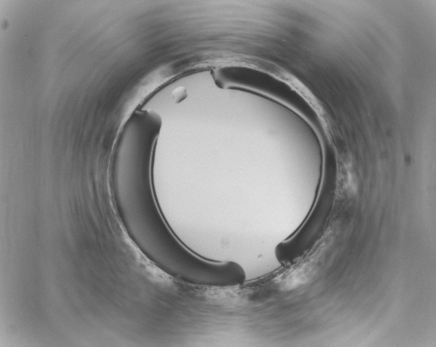 X0000061730909200512302142