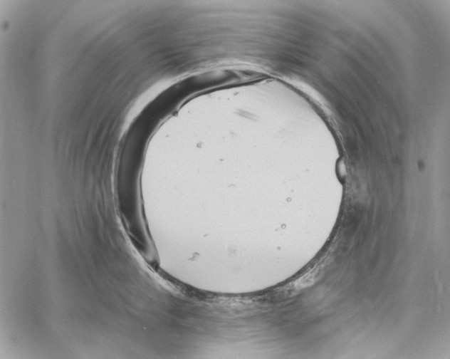 X0000061730910200512302142