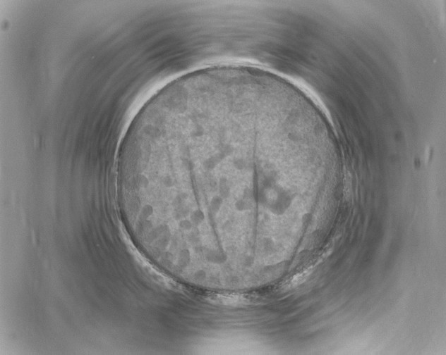 X0000061730911200512302142