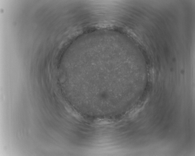 X0000061730913200512302141