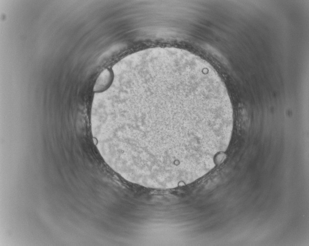 X0000061730918200512302142