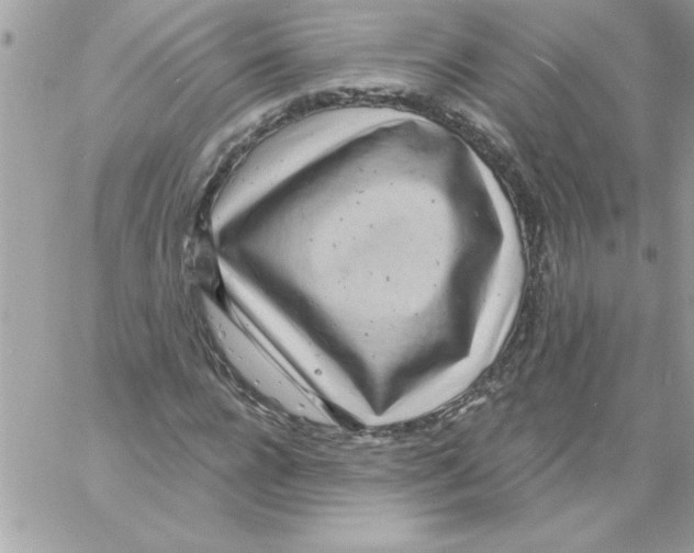 X0000061730920200512302142