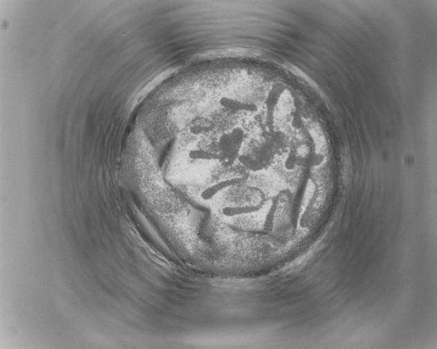 X0000061730921200512302142