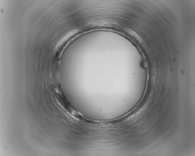 X0000061730922200512302142