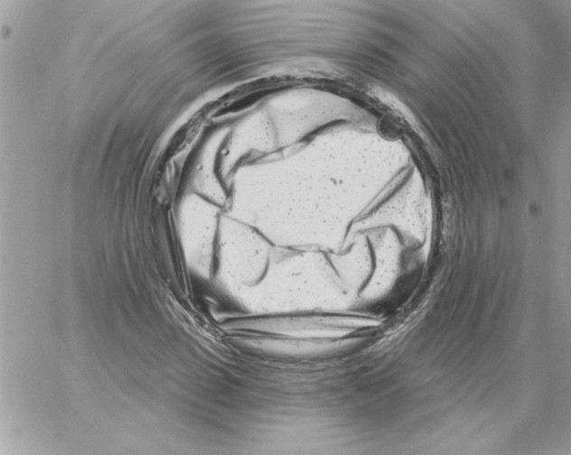 X0000061730923200512302142