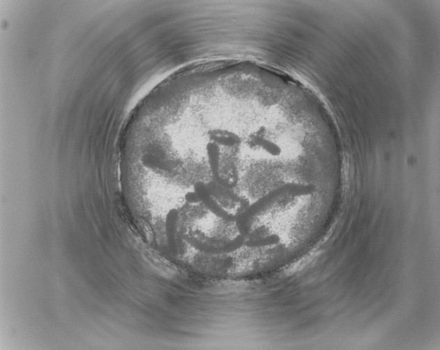 X0000061730925200512302142