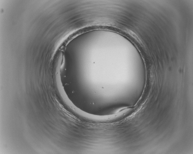 X0000061730926200512302142