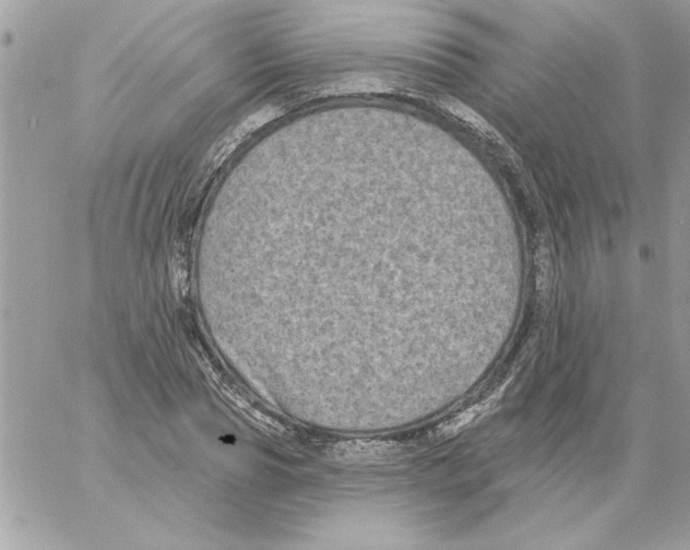 X0000061730929200512302142