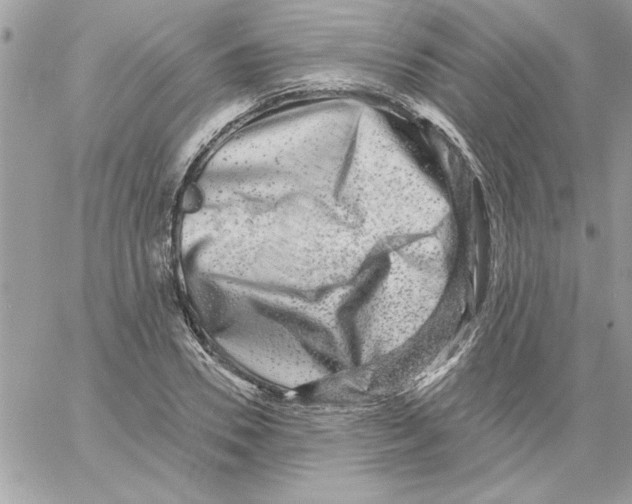 X0000061730930200512302142