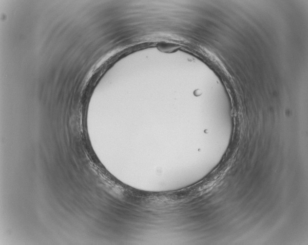 X0000061730931200512302142