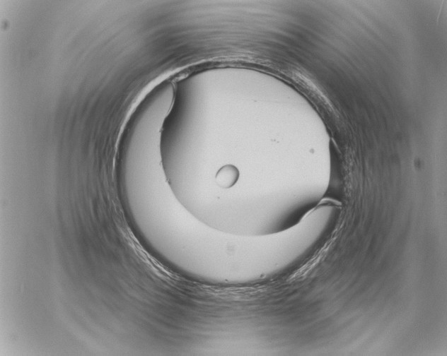 X0000061730932200512302142