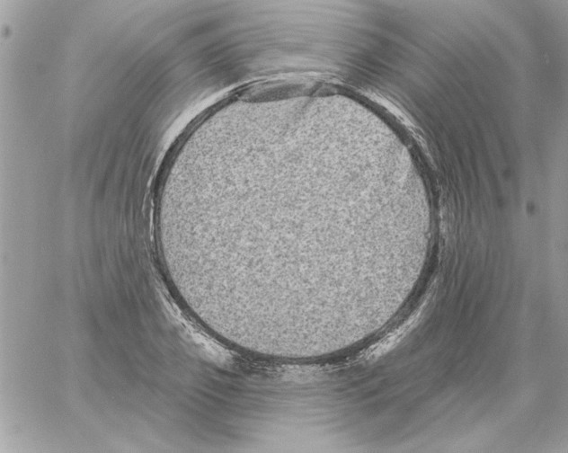 X0000061730933200512302142