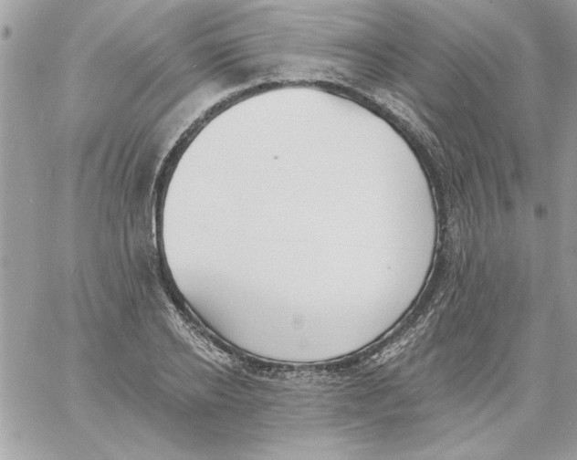 X0000061730934200512302142