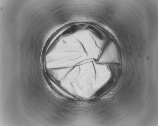 X0000061730935200512302142