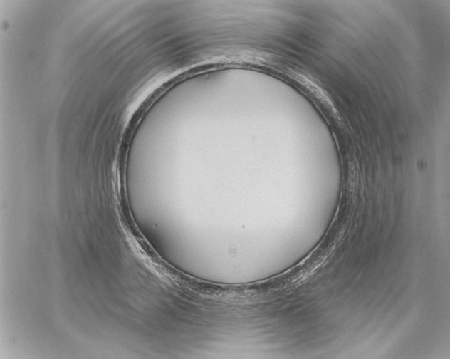 X0000061730936200512302142