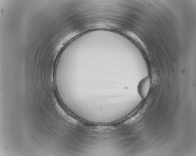 X0000061730938200512302142