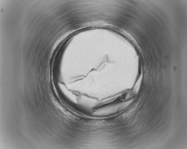 X0000061730939200512302142