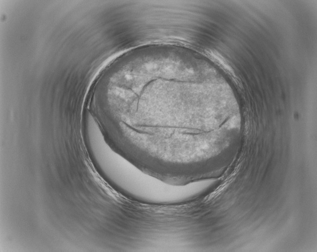 X0000061730940200512302142