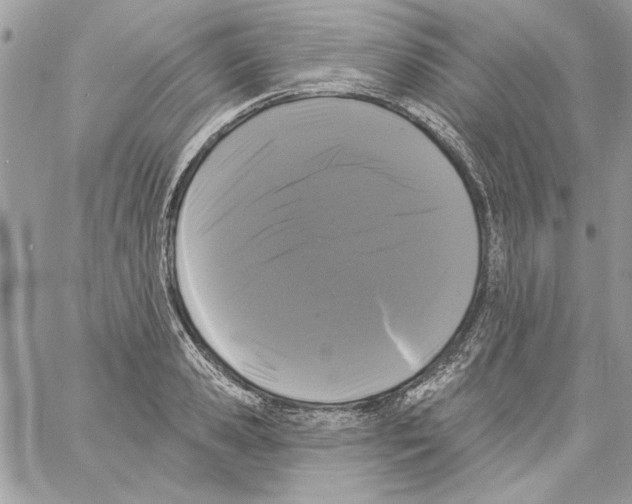 X0000061730941200512302142