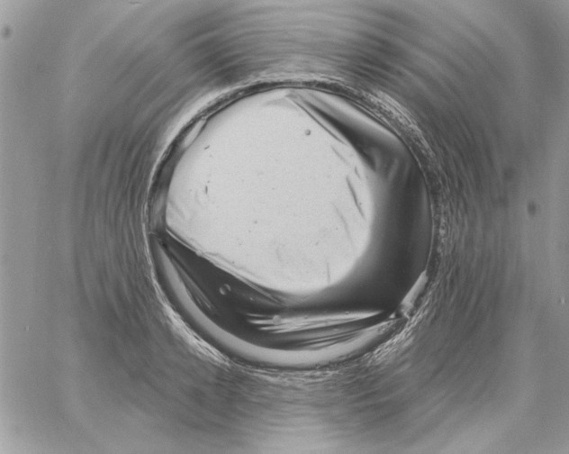 X0000061730942200512302142