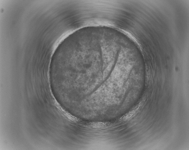 X0000061730943200512302142