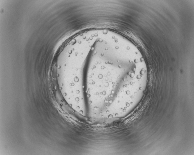 X0000061730944200512302142