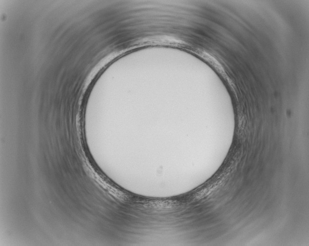 X0000061730947200512302142