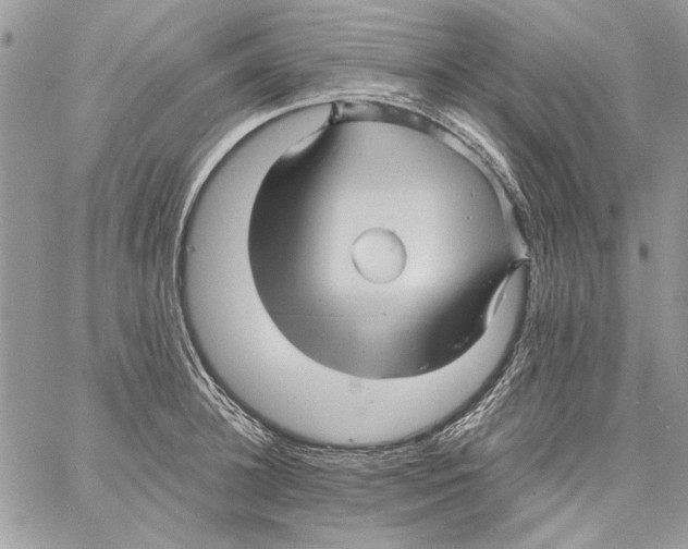 X0000061730948200512302142