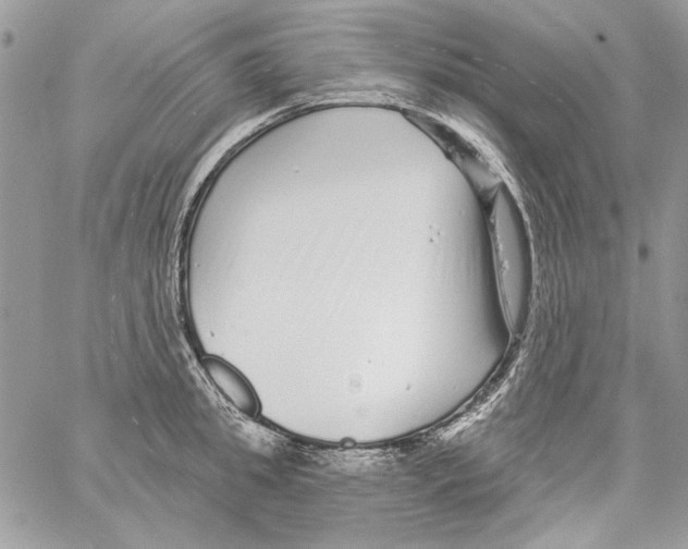 X0000061730949200512302142