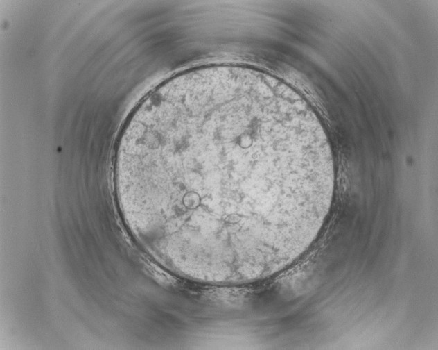 X0000061730950200512302142