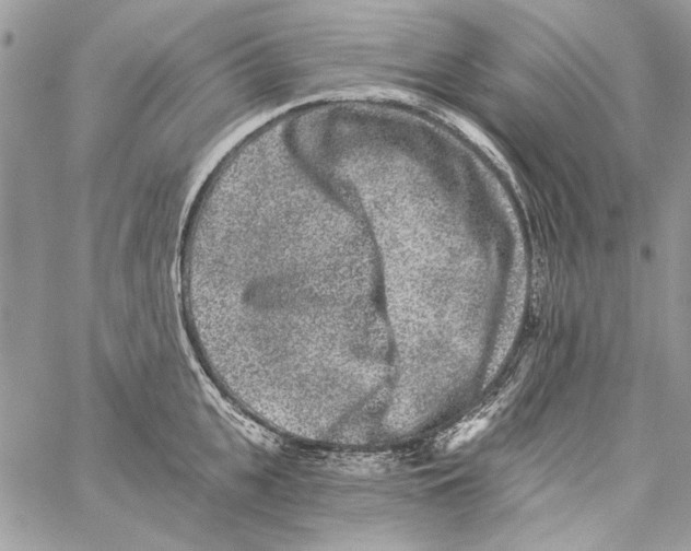 X0000061730951200512302142