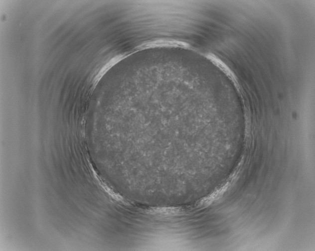 X0000061730953200512302142