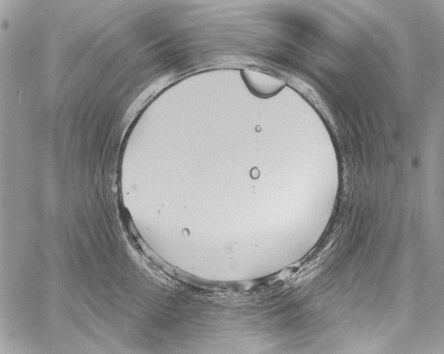 X0000061730954200512302142