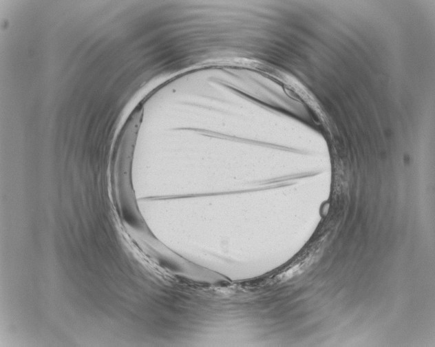 X0000061730955200512302142