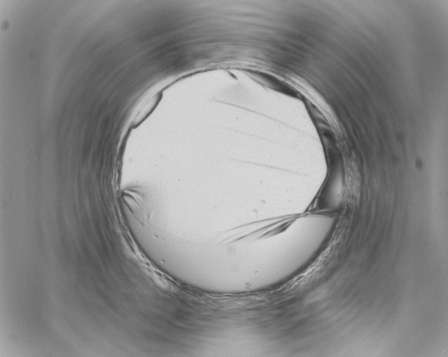 X0000061730956200512302142