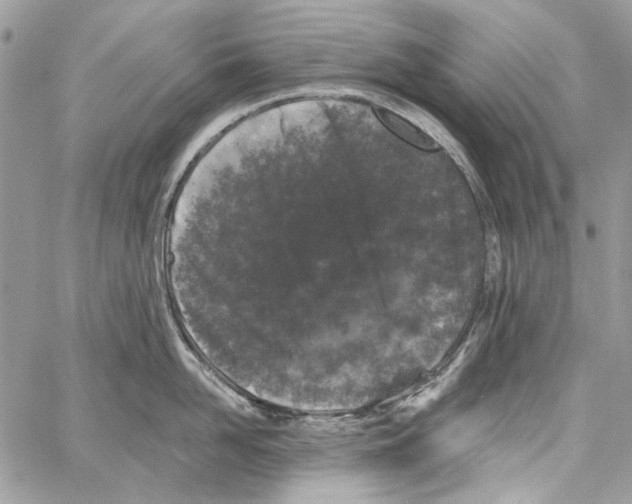 X0000061730958200512302142