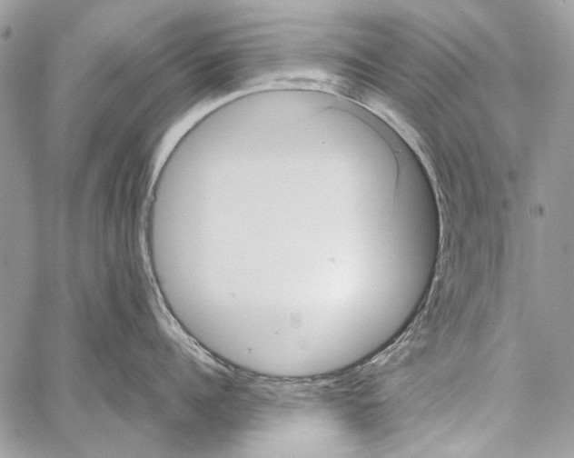 X0000061730960200512302142