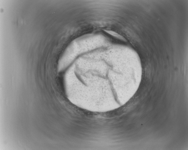 X0000061730961200512302141