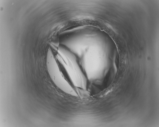 X0000061730965200512302141